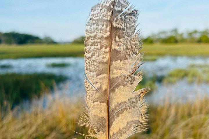 Morning Marsh Magic Wildlife Bootstour