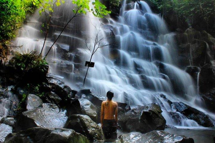 Ubud : Dagtour naar watervallen, tempel en rijstterras