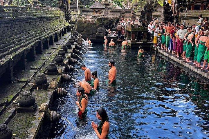 Ubud : Balançoire Bali réelle, forêt de singes, temple et cascade