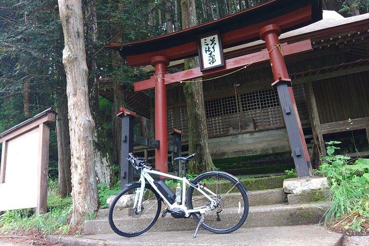 新宿ターミナル～田場山フレキシブル3日間農村日本ツアー