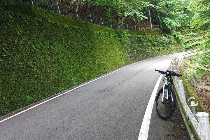 新宿ターミナル～田場山フレキシブル3日間農村日本ツアー