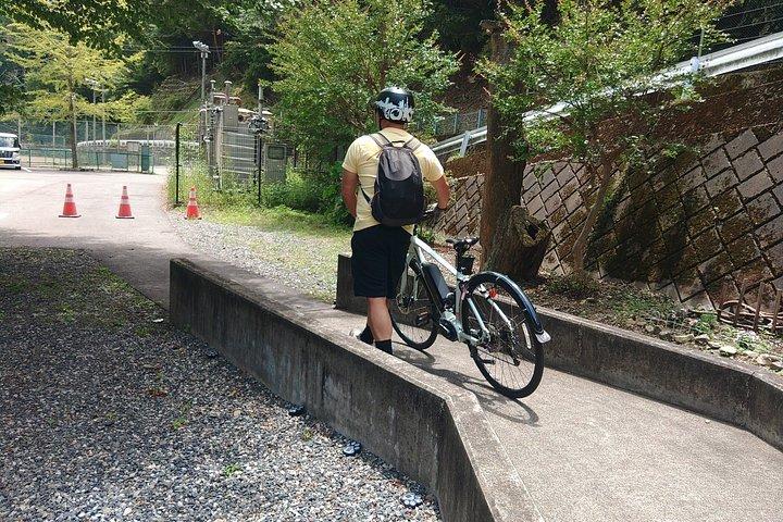 新宿ターミナル～田場山フレキシブル3日間農村日本ツアー