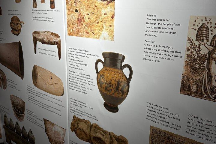Ancient Olympia Tour and Surrounding Activities