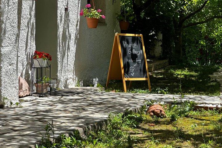 Ancient Olympia Tour and Surrounding Activities