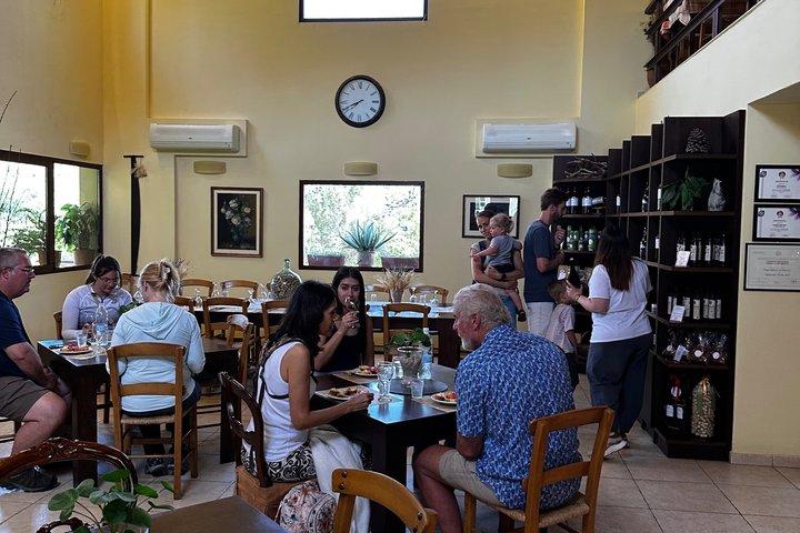 Ancient Olympia Tour and Surrounding Activities