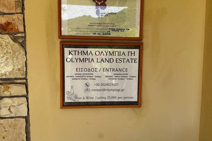 Ancient Olympia Tour and Surrounding Activities