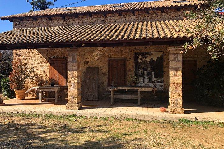 Ancient Olympia Chlemoutsi Castle and Kourouta Beach