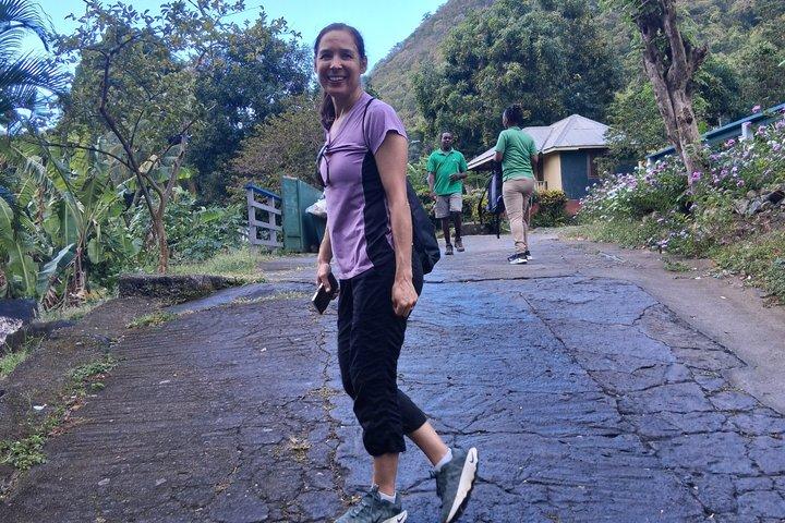 Hoteller i nærheden af Gros Piton Hike St. Lucia