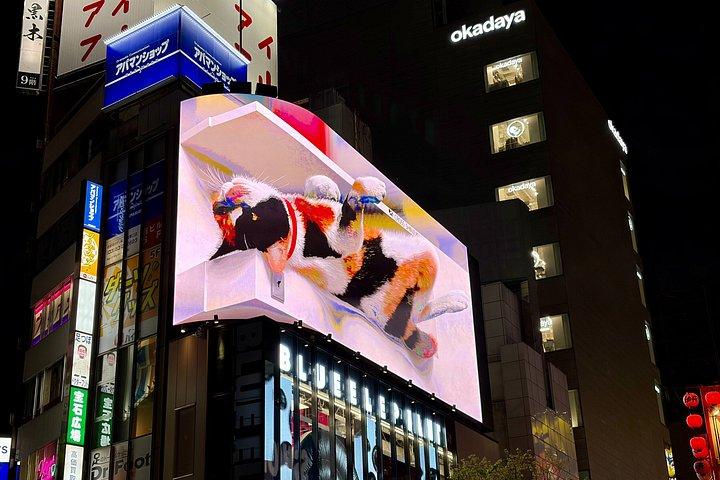 新宿ナイトライフハイライトウォーキングツアー（ガイド付き）