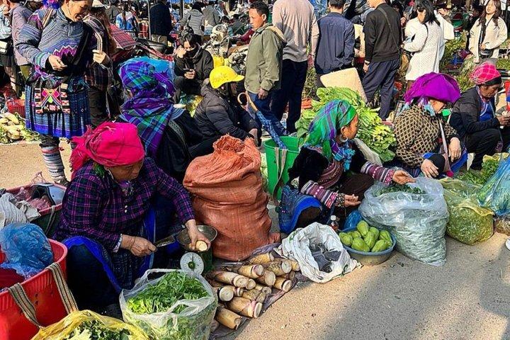 From Sapa Colorful Bac Ha Sunday Market and Flower Hmong Village