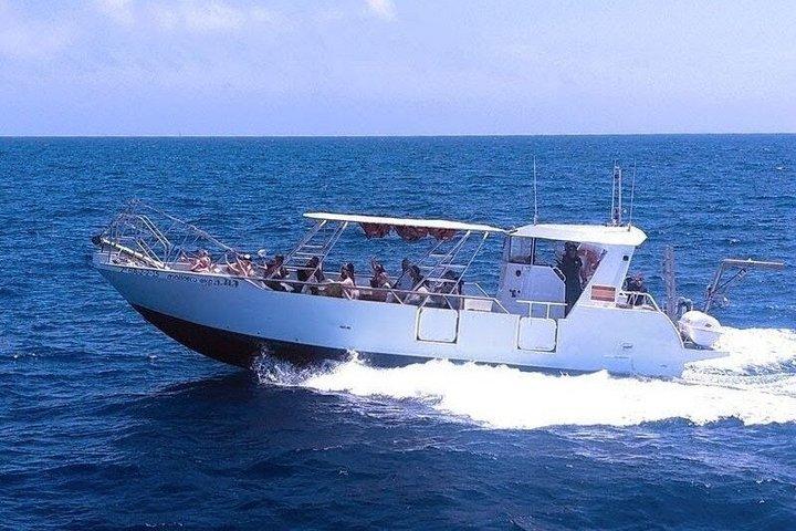 Mallorca Explorer: Grottor, klippor och vikar med båt