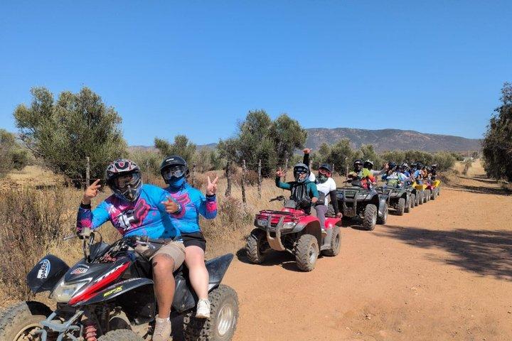 Shore Excursion Off-Road ATV i vinland Valgfrit smagning