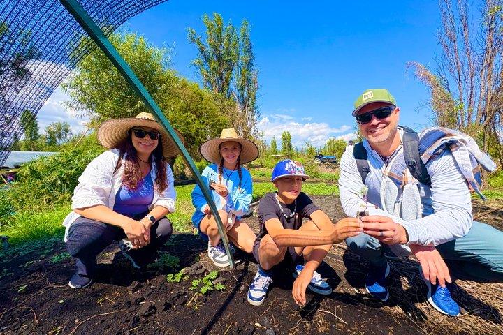 Prehispanic Xochimilco:Sailing Chinampas, axolotls, bird watching