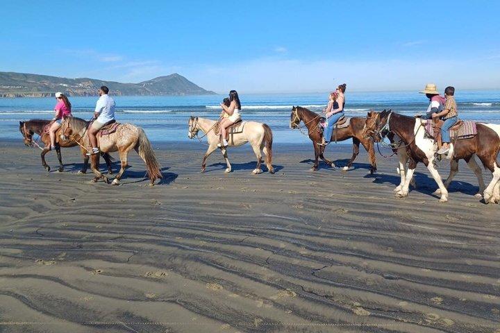 Ensenada Landausflug : Privatstrand oder Canyon Horseback