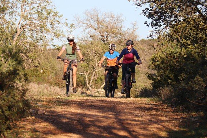 E mountain bike gourmet tour white villages