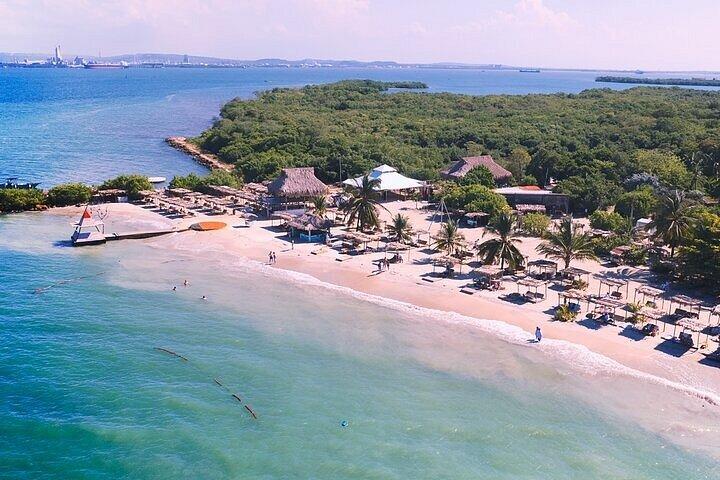 Fenix Beach Club: Island Basic Day Pass with private beach & pool
