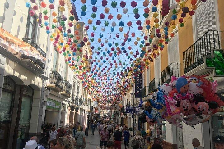 Explore Ronda and Setenil with Private Transportation