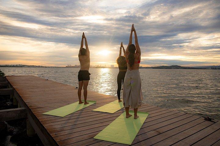 Fenix Beach Club: Island Basic Day Pass with private beach & pool