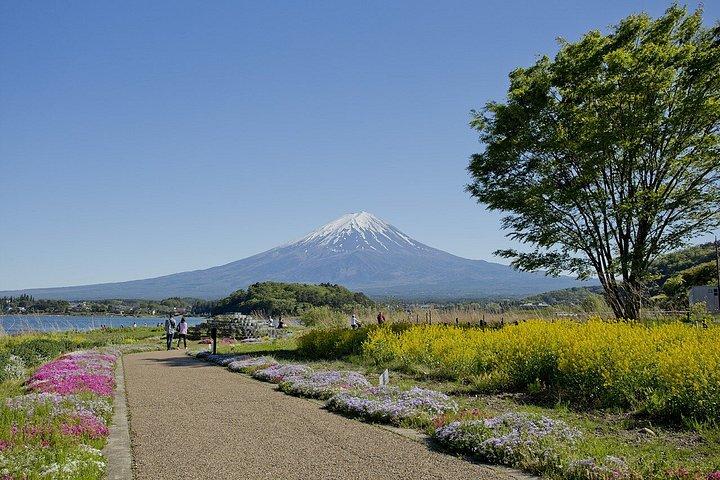 富士山日帰りツアー：加地加地ロープウェイ、忍野八海＆抹茶