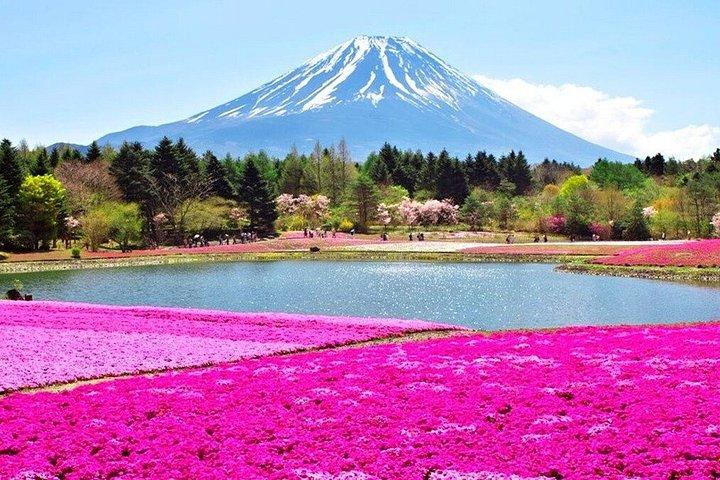富士山日帰りツアー：加地加地ロープウェイ、忍野八海＆抹茶