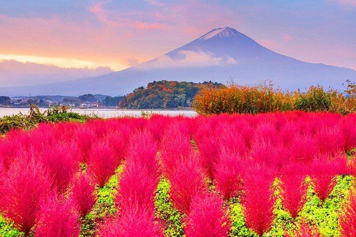 富士山日帰りツアー：加地加地ロープウェイ、忍野八海＆抹茶