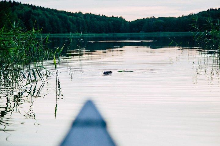 Kanuabenteuer im Stockholmer Archipel