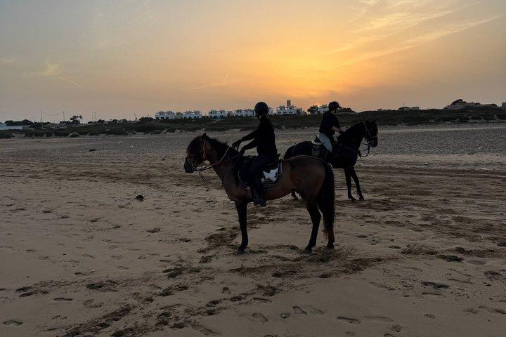 エッサウイラのビーチ沿いを行く風光明媚な乗馬アドベンチャー