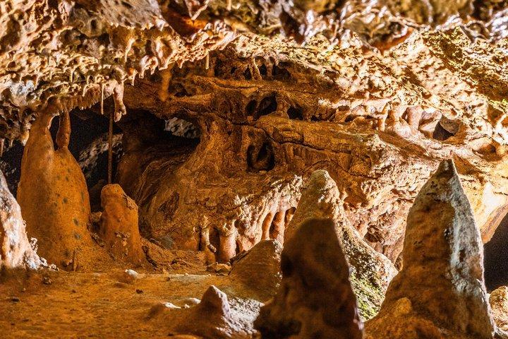 ジェノヴァ洞窟入場チケットパルマ・デ・マヨルカ