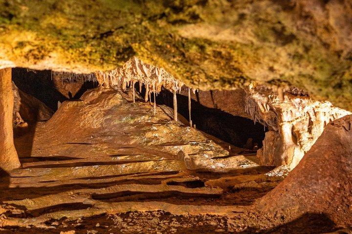 ジェノヴァ洞窟入場チケットパルマ・デ・マヨルカ