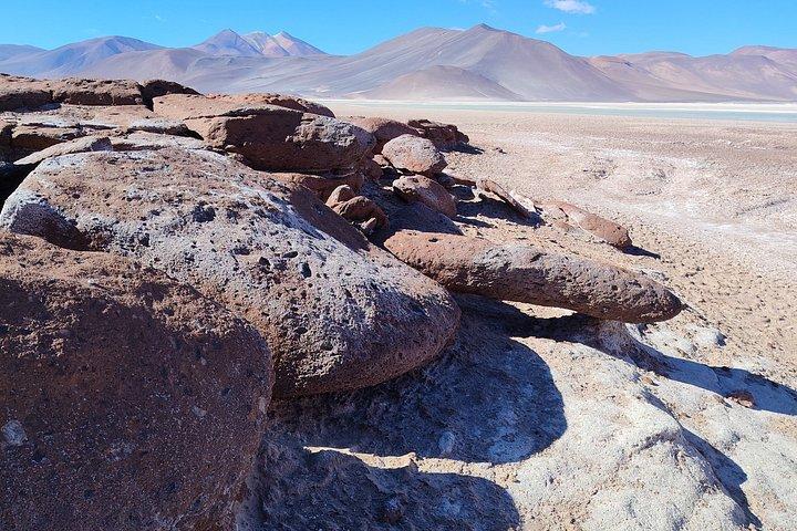 3-dages tur i San Pedro de Atacama med billetter og måltider