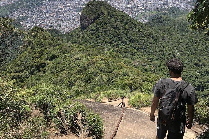 Rio : Tijuca Rainforest Private Summit ハイキング＆滝