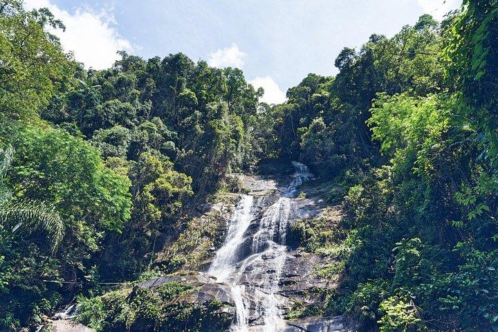 Rio : Tijuca Rainforest Private Summit ハイキング＆滝