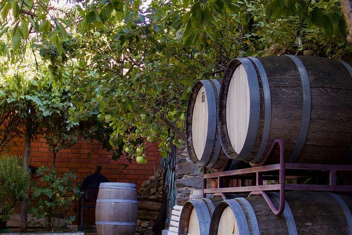 Segovia, vin og tradition i en lille gruppe fra Madrid