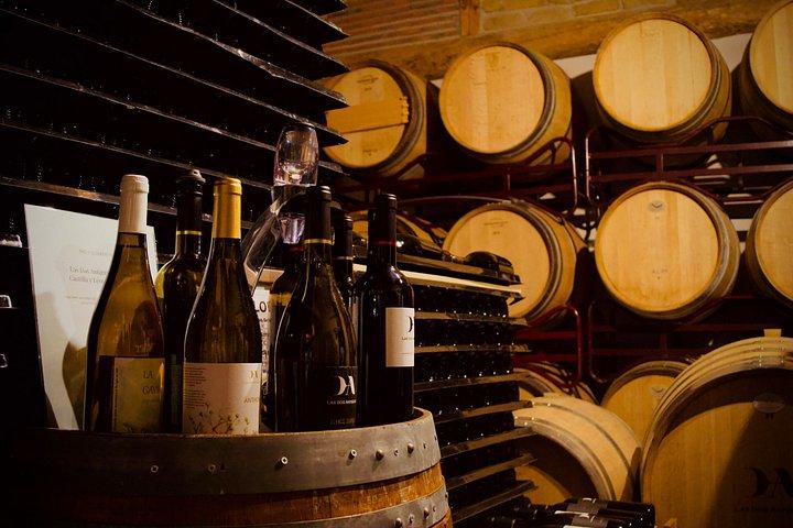 Segovia, vin og tradition i en lille gruppe fra Madrid