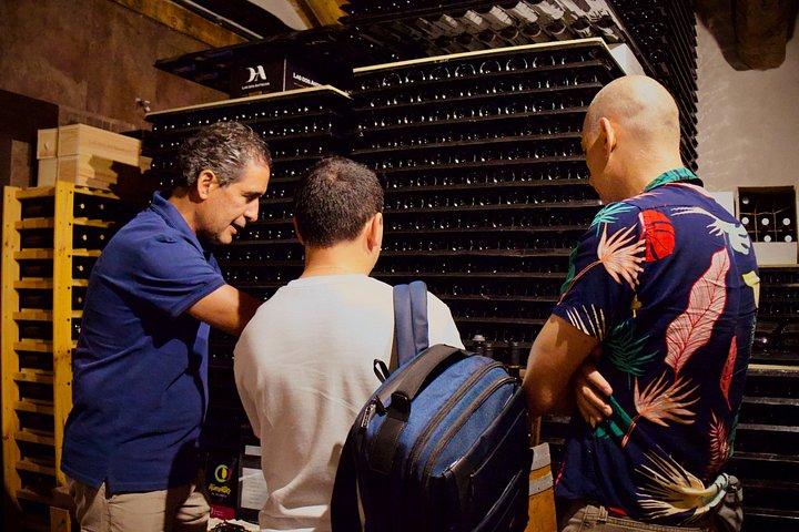 Segovia, vin og tradition i en lille gruppe fra Madrid