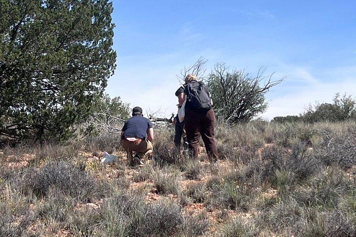Self Guided Mining Scavenger Hunt in Sedona