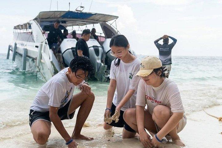 ピピマヤハイ島：スピードボートで巡る究極の島巡り