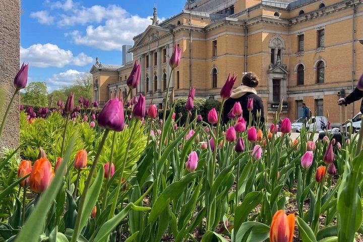 Lo mejor de Oslo : Tour + Guía de secretos locales