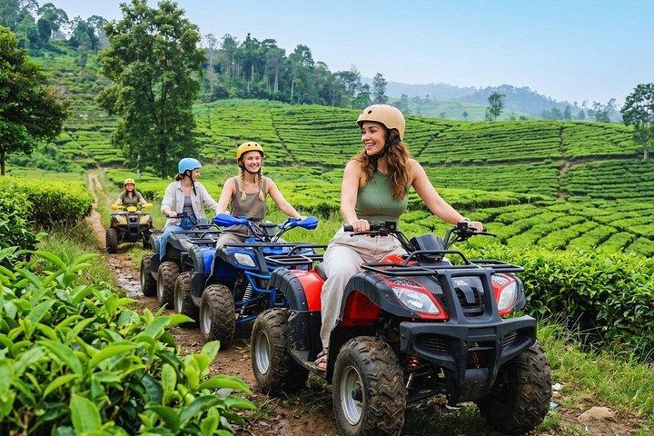 Från Jakarta ATV Adventure, Hot Springs och Tea Trails