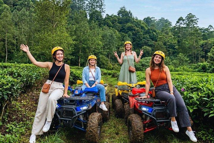 ジャカルタATVアドベンチャー、温泉、ティートレイルから