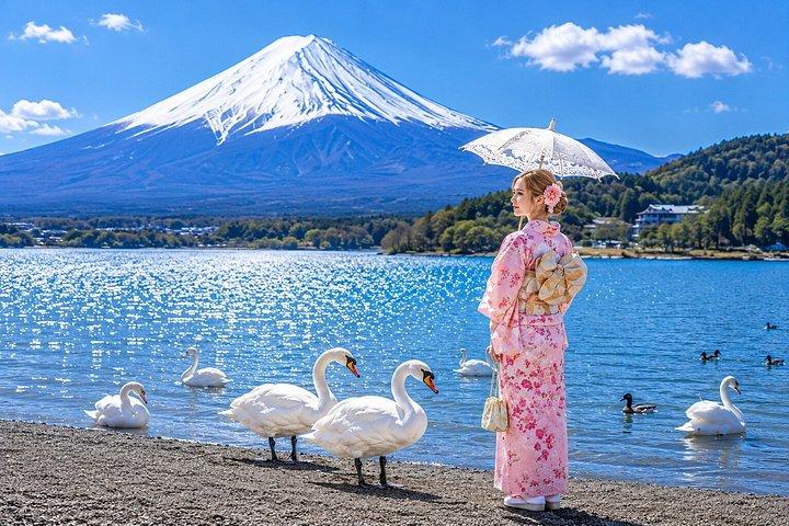 富士山文化日帰り着物体験または相撲ショー