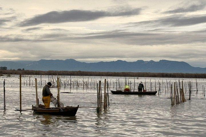 バレンシアのアルブフェラ湖：ボートトリップと地中海の森
