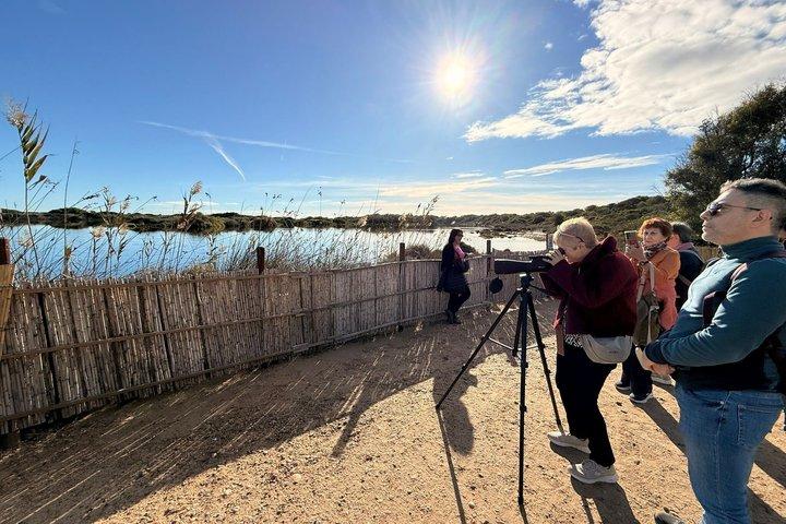 Albufera von Valencia: Bootsfahrt und mediterraner Wald