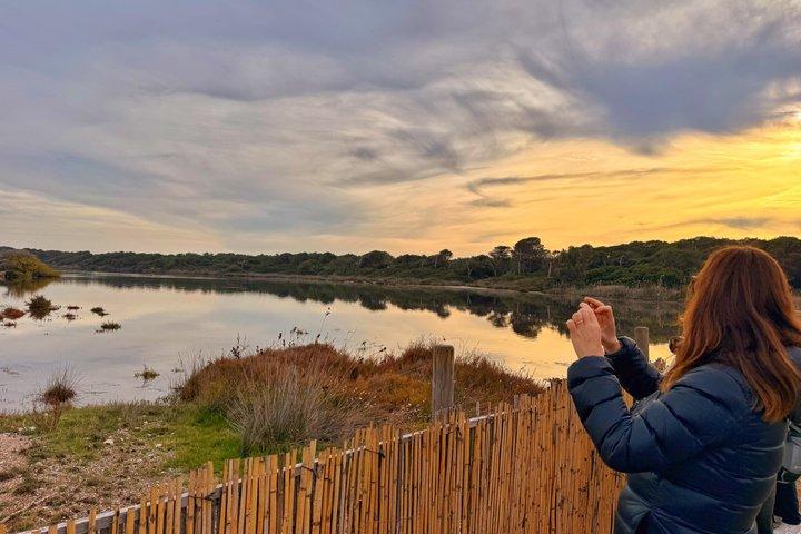 Albufera von Valencia: Bootsfahrt und mediterraner Wald