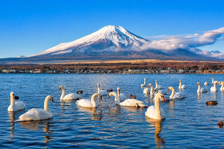 東京発富士山＆河口湖小グループツアー マックス12