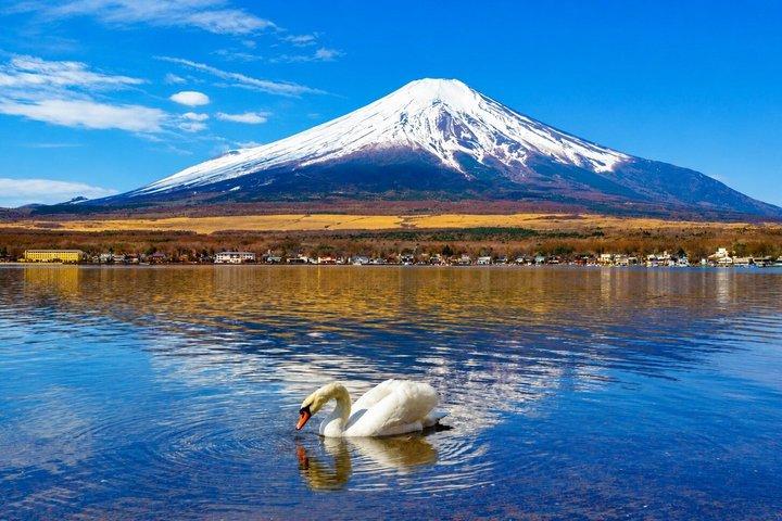 東京発富士山＆河口湖小グループツアー マックス12