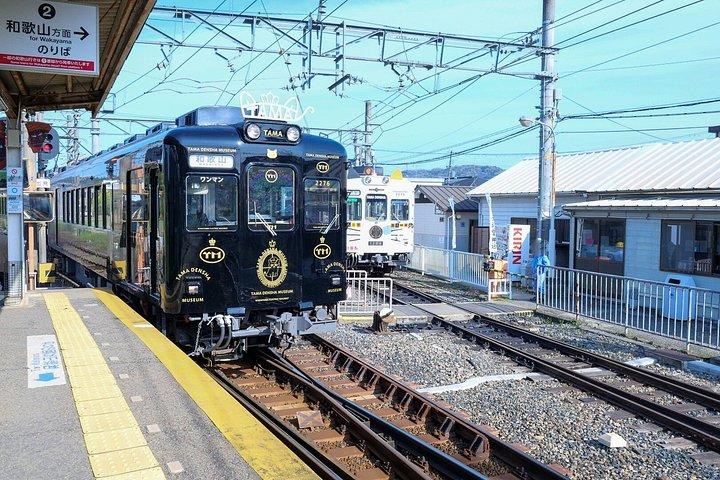Day Trip Wakayama Cat Stationmaster train ride from Osaka