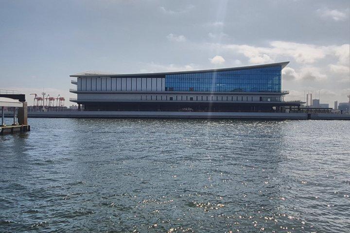 Tokyo Cruise Terminal Privat transfer till/från Tokyo Station
