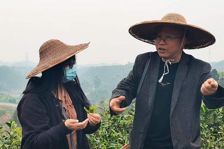 成都発巨大仏＆隠れ家茶村日帰り旅行