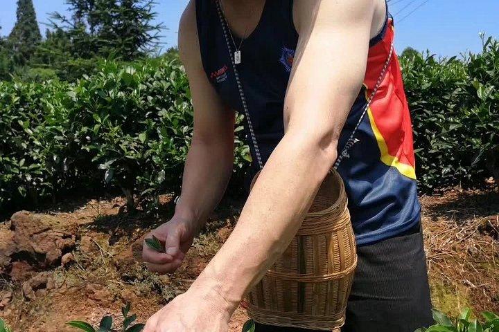 成都発巨大仏＆隠れ家茶村日帰り旅行